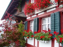 Logo Wirtschaft Weinberg